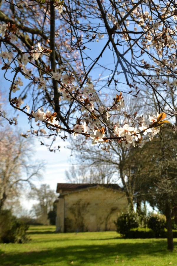 Relais De Margaux - Hotel & Spa Bagian luar foto